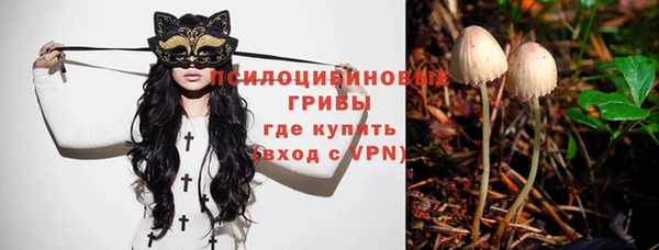 ECSTASY Новокубанск