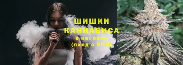 прущие крисы Новодвинск