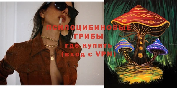 прущие крисы Новодвинск