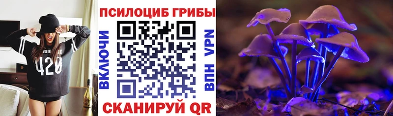 hydra ссылки Ряжск Псилоцибиновые грибы GOLDEN TEACHER где найти наркотики